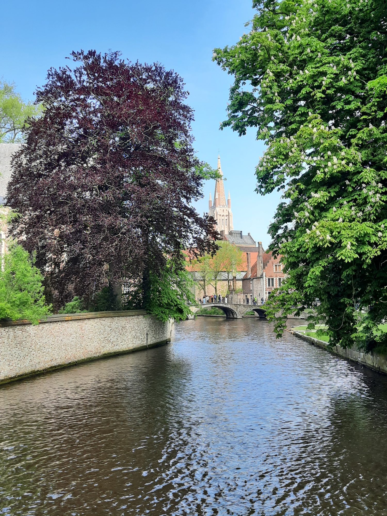 20240507_125530_resized